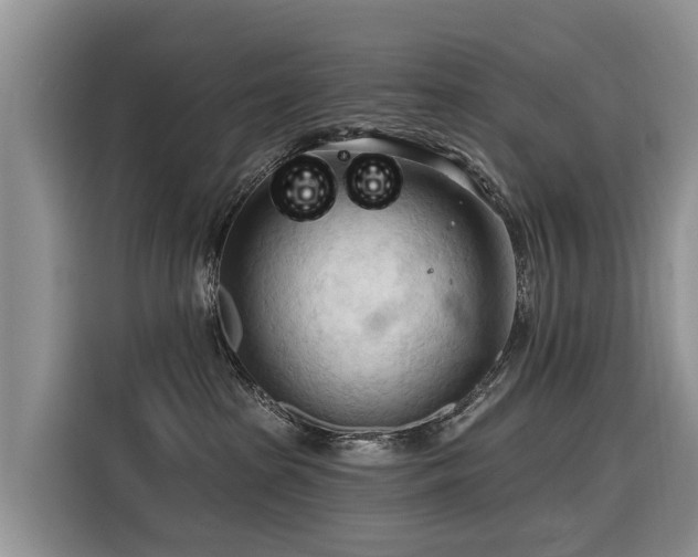 X0000116320285200912011118