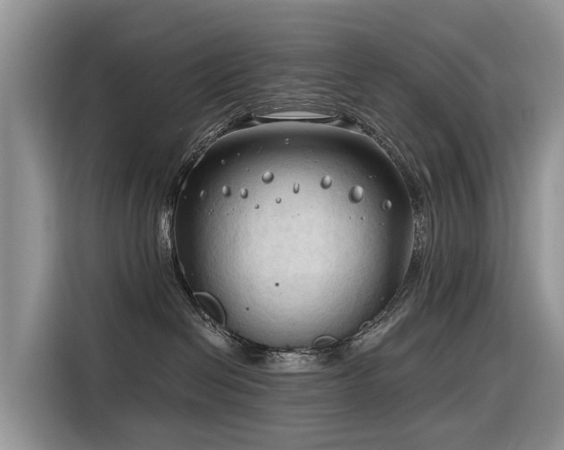 X0000116320286200912011118