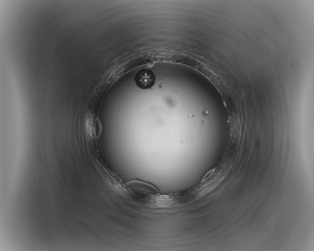 X0000116320287200912011118