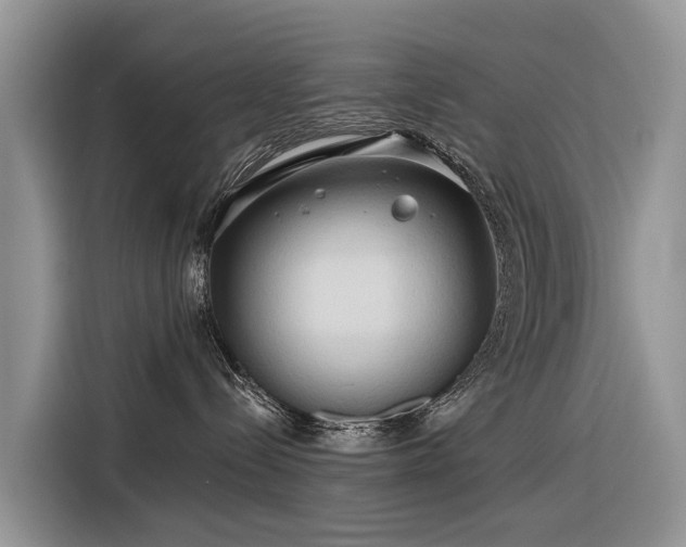 X0000116320288200912011119