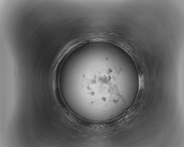 X0000116320291200912011118