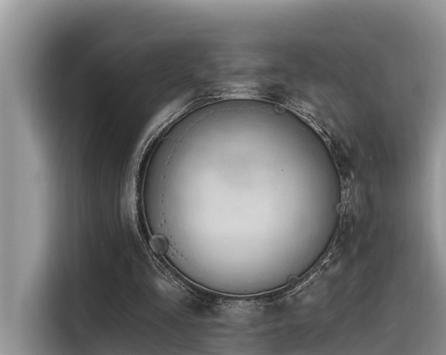 X0000116320293200912011118