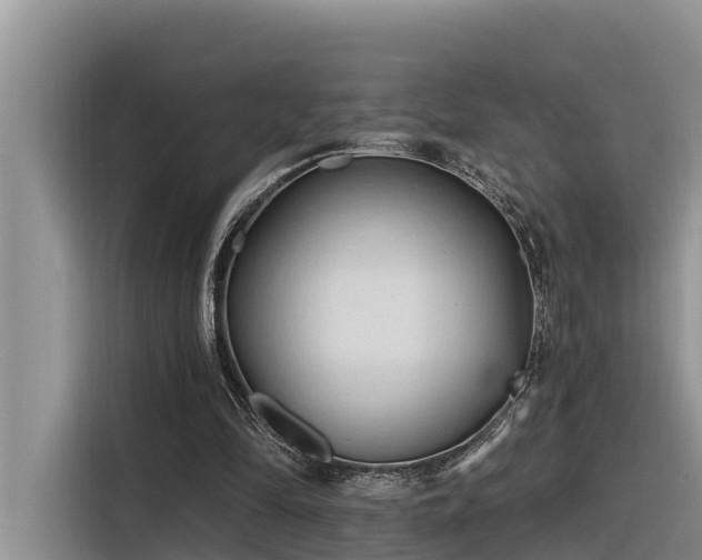 X0000116320294200912011118