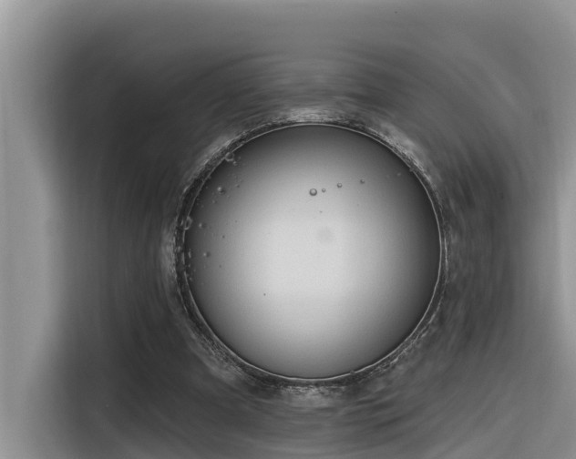 X0000116320297200912011118