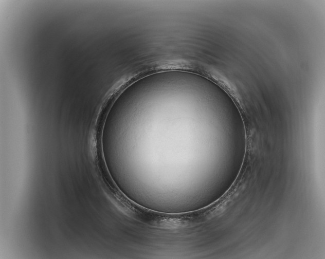 X0000116320298200912011118