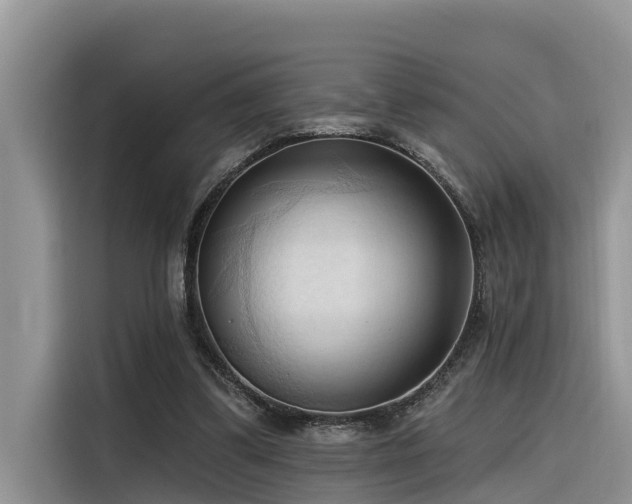 X0000116320299200912011118