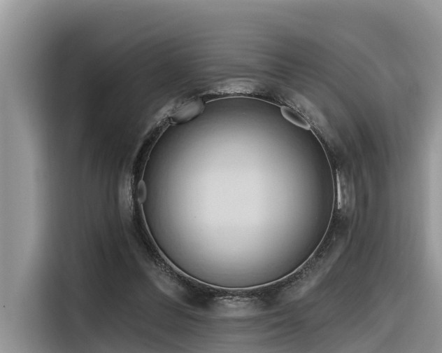 X0000116320300200912011118