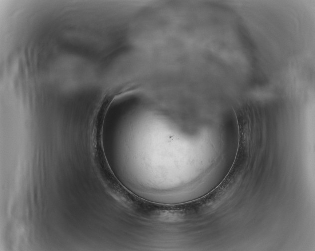 X0000116320303200912011118