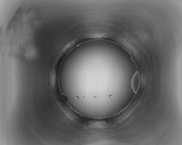 X0000116320304200912011118