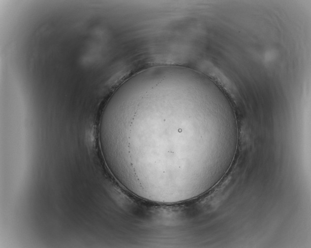 X0000116320305200912011118