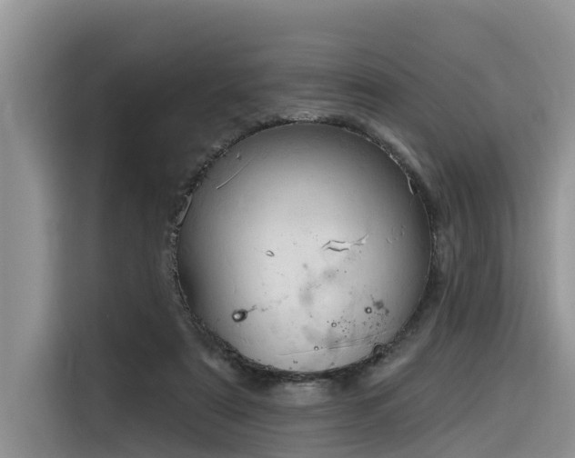 X0000116320307200912011118