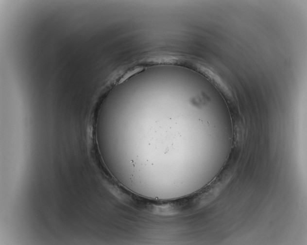 X0000116320309200912011118