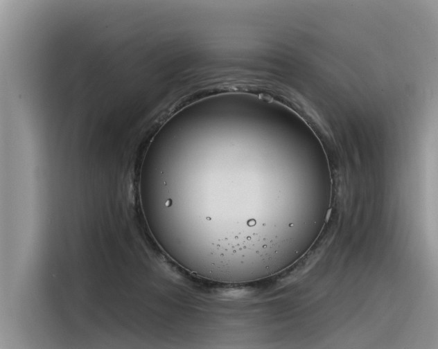 X0000116320313200912011118