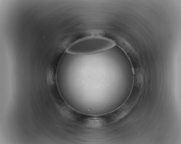 X0000116320316200912011118