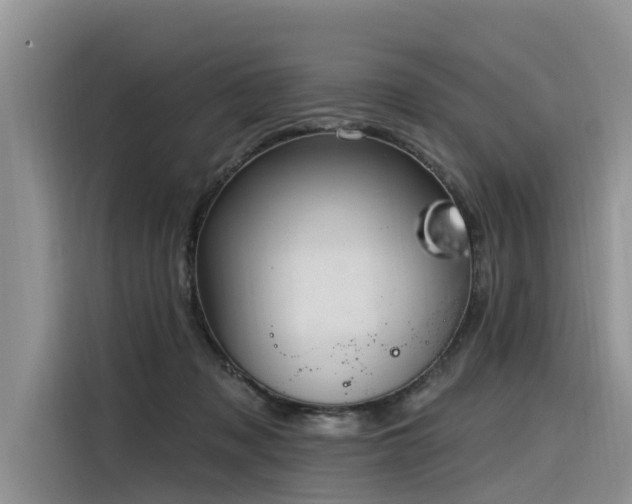 X0000116320317200912011118