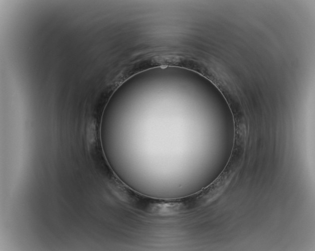 X0000116320323200912011117