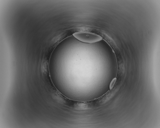 X0000116320325200912011117