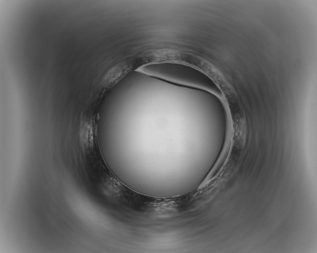 X0000116320333200912011117