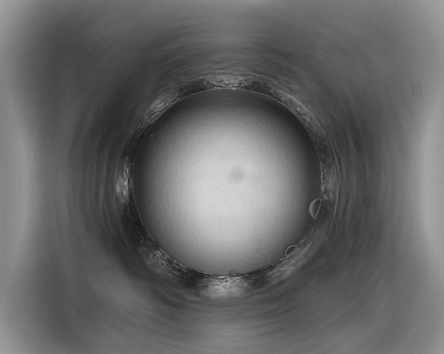 X0000116320334200912011117