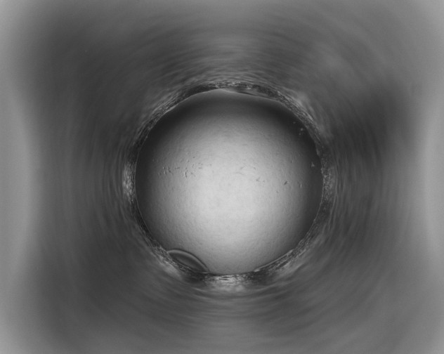 X0000116320335200912011117