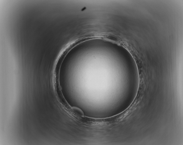 X0000116320342200912011117