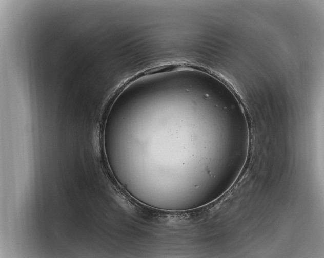 X0000116320345200912011117