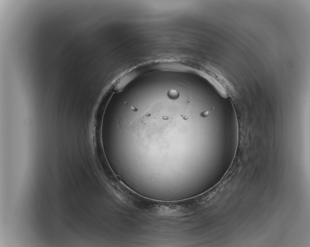 X0000116320346200912011117