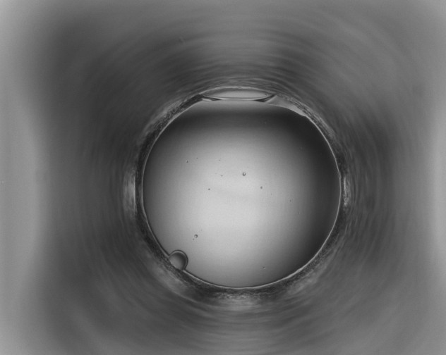 X0000116320349200912011117