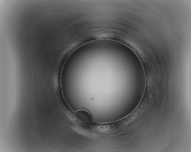 X0000116320353200912011117