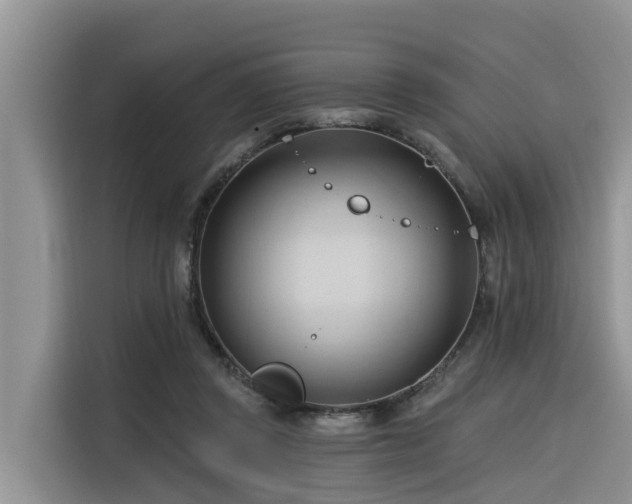 X0000116320357200912011117