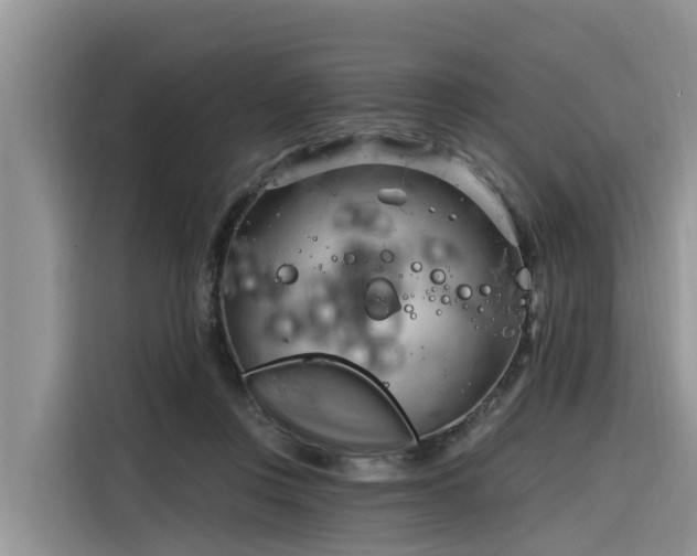 X0000116320359200912011117