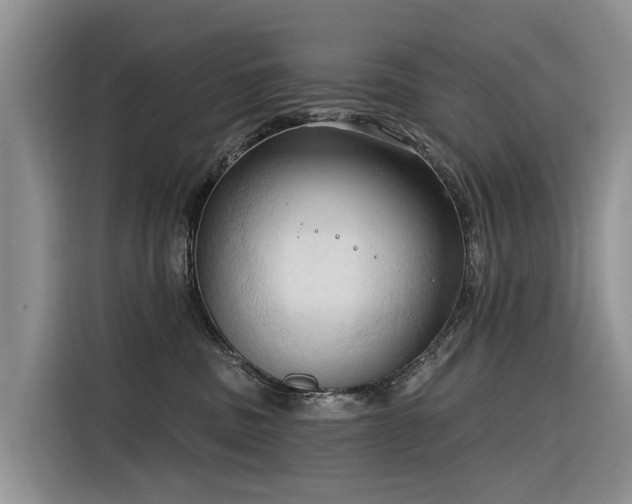 X0000116320379200912011117