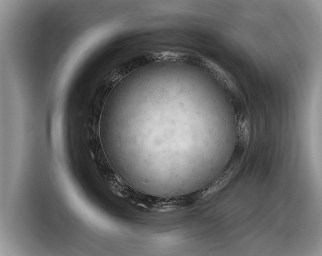 X0000116320381200912011117