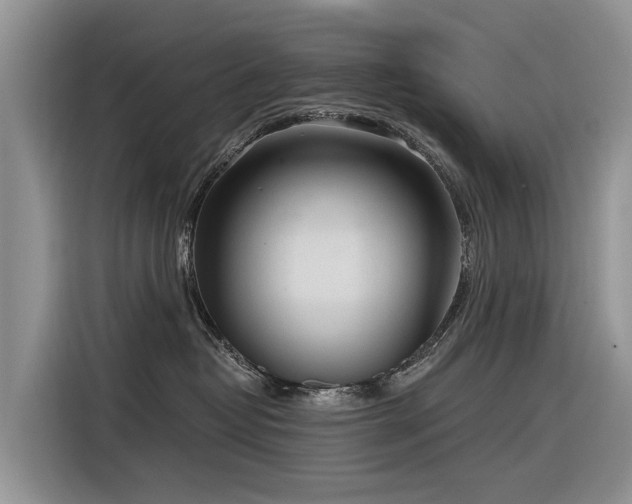 X0000116320382200912011117