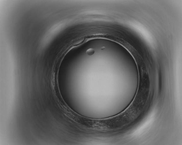 X0000116320387200912011117