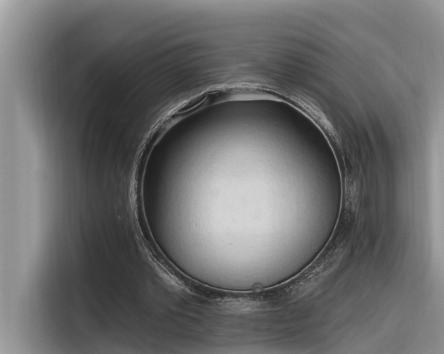 X0000116320389200912011117