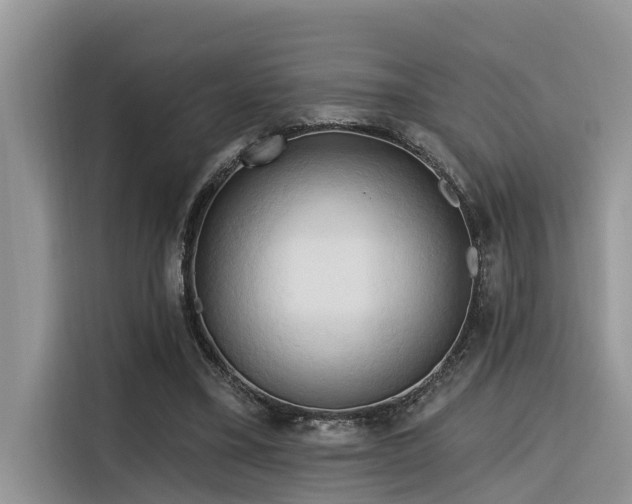 X0000116320395200912011116