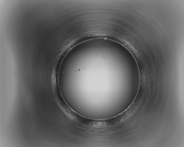 X0000116320398200912011116