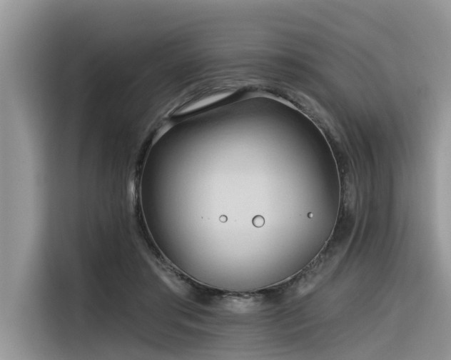 X0000116320405200912011116