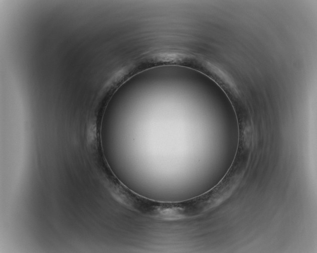 X0000116320407200912011116