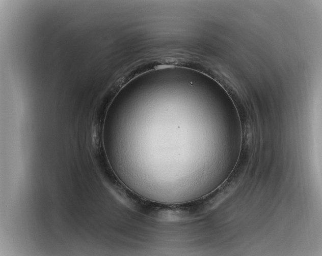 X0000116320408200912011116