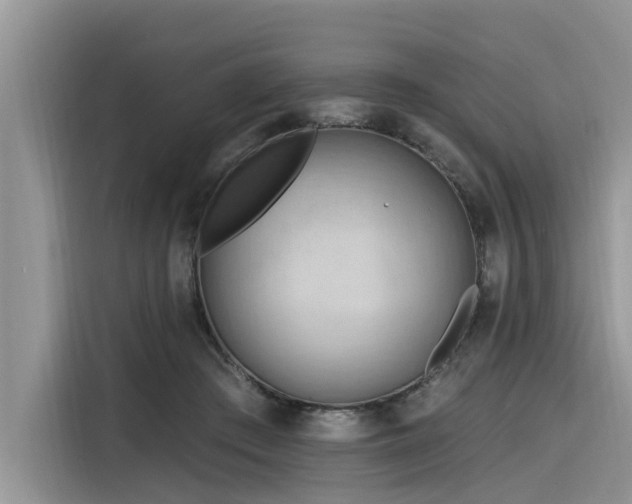 X0000116320409200912011116