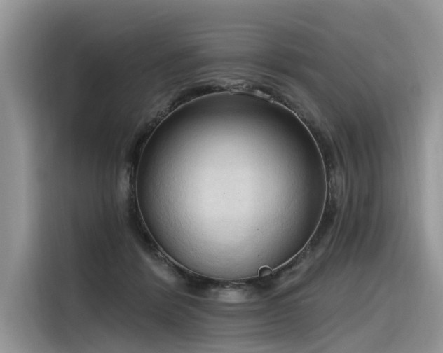 X0000116320412200912011116