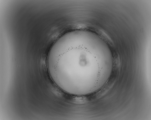 X0000116320415200912011116