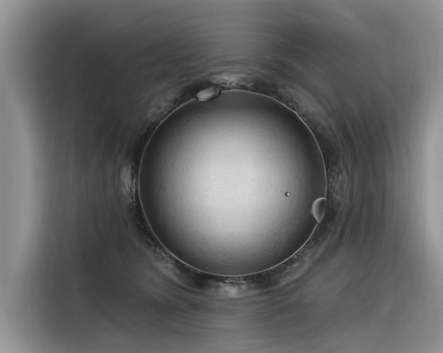 X0000116320420200912011116