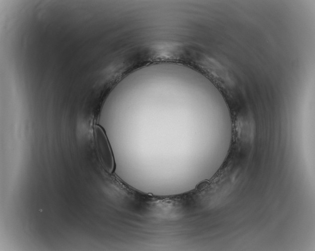 X0000116320423200912011116