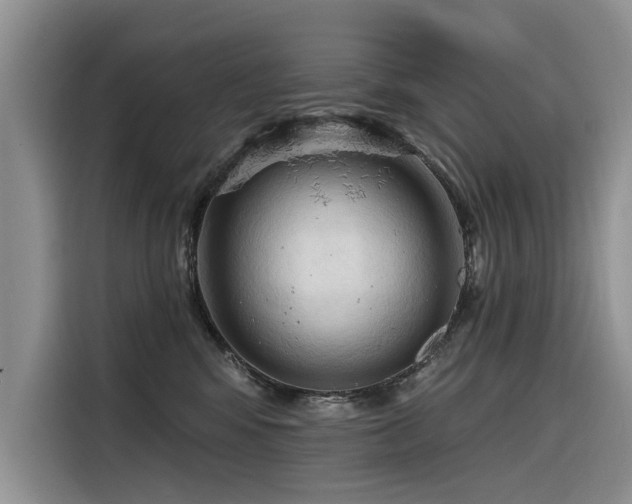 X0000116320424200912011116