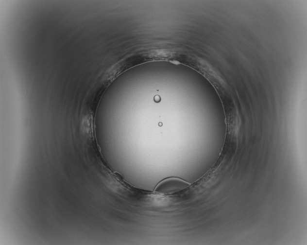 X0000116320425200912011116