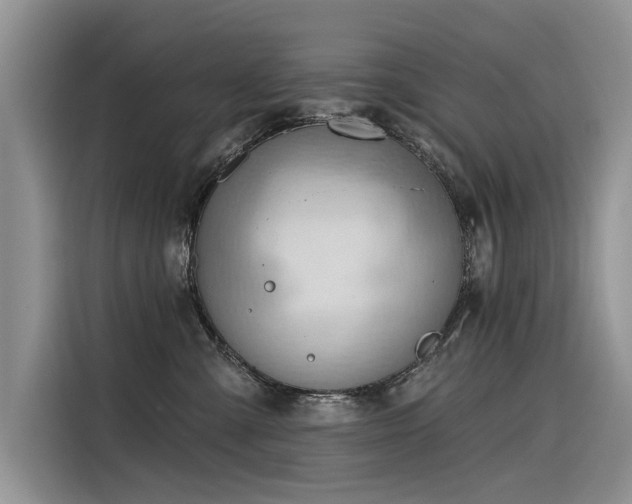 X0000116320427200912011116