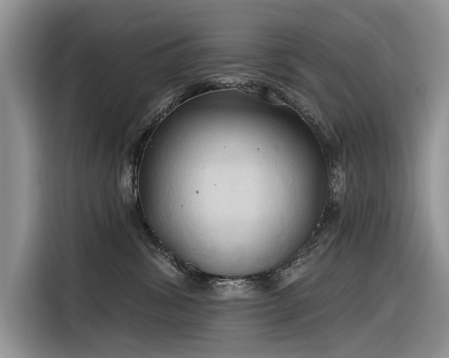 X0000116320428200912011116